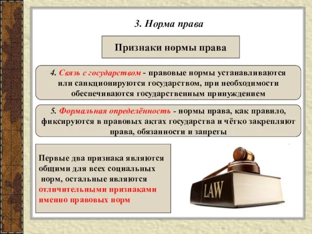 3. Норма права Признаки нормы права 4. Связь с государством - правовые