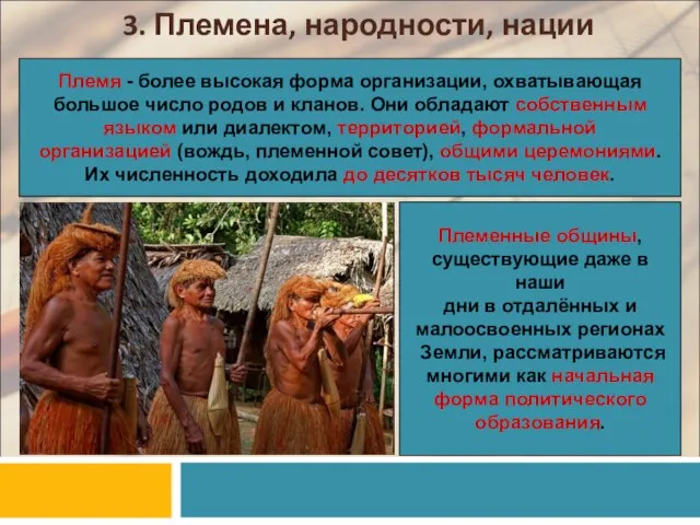 3. Племена, народности, нации Племя - более высокая форма организации, охватывающая большое