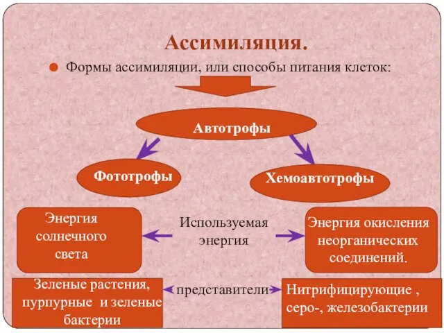 Ассимиляция. Формы ассимиляции, или способы питания клеток: Автотрофы Фототрофы Хемоавтотрофы Энергия солнечного