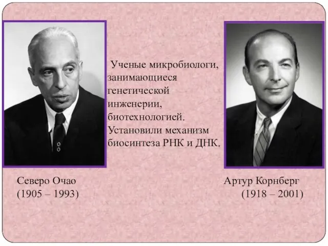 Артур Корнберг (1918 – 2001) Северо Очао (1905 – 1993) Ученые микробиологи,