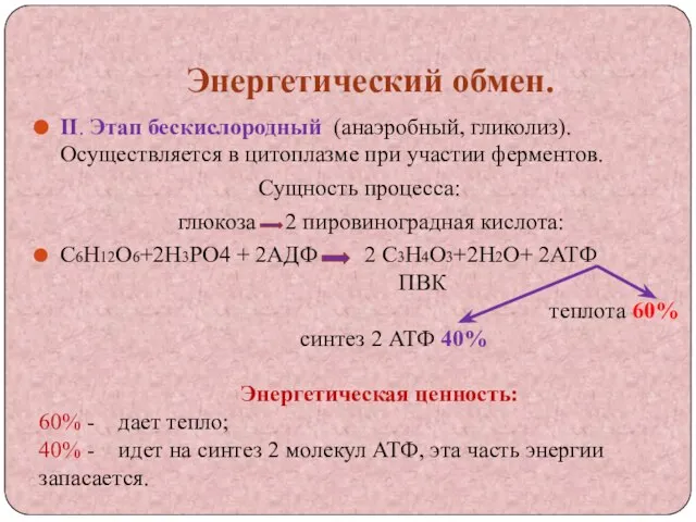 Энергетический обмен. II. Этап бескислородный (анаэробный, гликолиз). Осуществляется в цитоплазме при участии