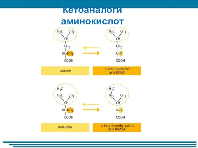 Кетоаналоги аминокислот