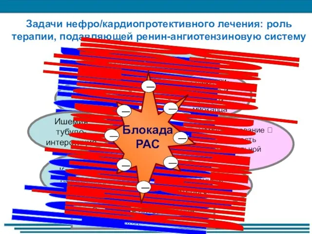 Воспаление и фиброгенез Клубочковая гипертензия Ускоренный атерогенез Задачи нефро/кардиопротективного лечения: роль терапии,