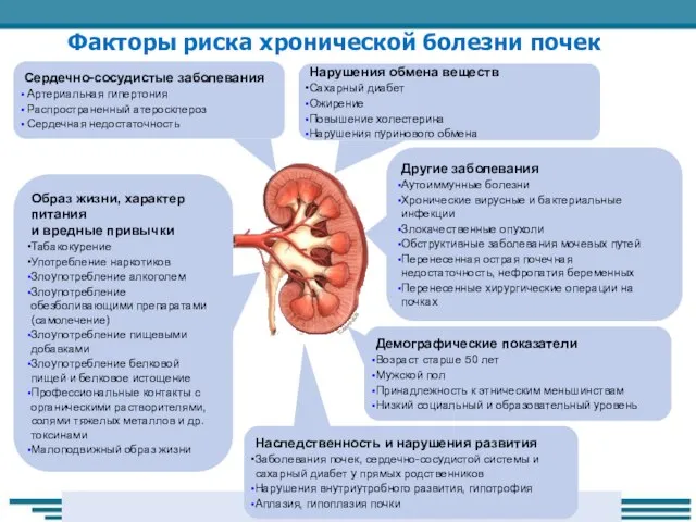 Факторы риска хронической болезни почек Нарушения обмена веществ Сахарный диабет Ожирение Повышение