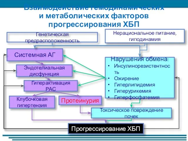 Взаимодействие гемодинамических и метаболических факторов прогрессирования ХБП Генетическая предрасположенность Нерациональное питание, гиподинамия