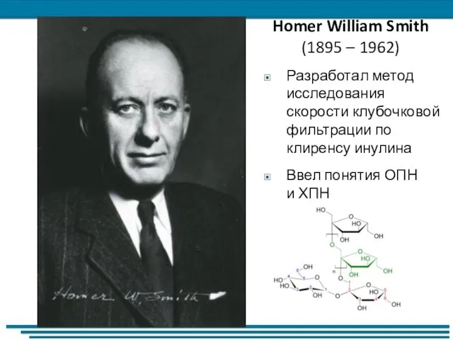 Homer William Smith (1895 – 1962) Разработал метод исследования скорости клубочковой фильтрации