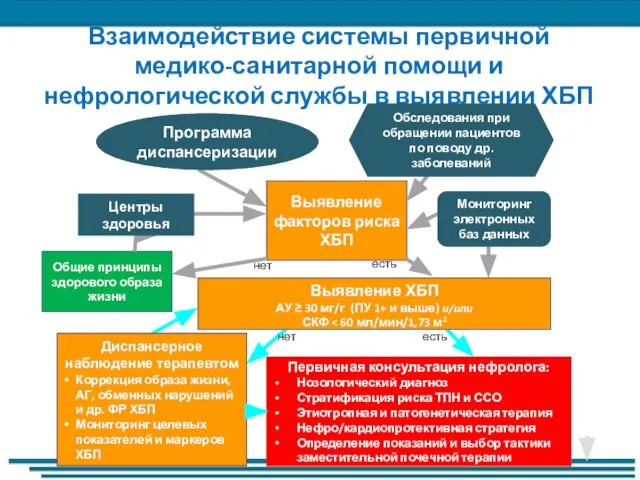 Взаимодействие системы первичной медико-санитарной помощи и нефрологической службы в выявлении ХБП Выявление