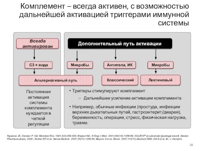 Всегда активирован Комплемент – всегда активен, с возможностью дальнейшей активацией триггерами иммунной