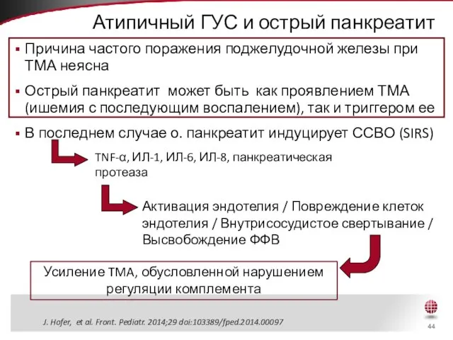 Атипичный ГУС и острый панкреатит Причина частого поражения поджелудочной железы при ТМА