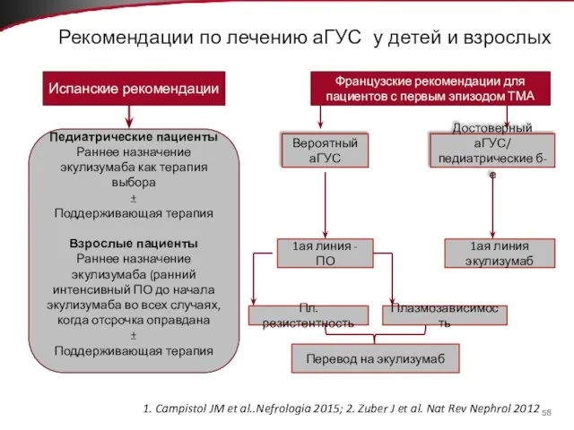 Рекомендации по лечению аГУС у детей и взрослых Испанские рекомендации Педиатрические пациенты