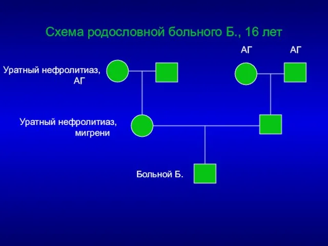 Схема родословной больного Б., 16 лет Уратный нефролитиаз, АГ АГ АГ Уратный нефролитиаз, мигрени Больной Б.