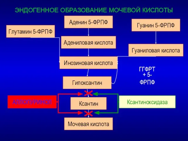 ЭНДОГЕННОЕ ОБРАЗОВАНИЕ МОЧЕВОЙ КИСЛОТЫ Аденин 5-ФРПФ Адениловая кислота Инозиновая кислота Гипоксантин Ксантин