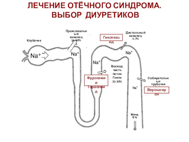 ЛЕЧЕНИЕ ОТЁЧНОГО СИНДРОМА. ВЫБОР ДИУРЕТИКОВ