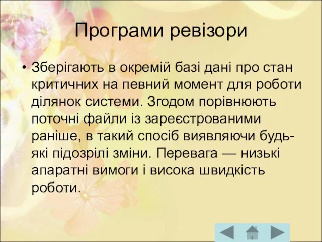 Програми ревізори Зберігають в окремій базі дані про стан критичних на певний