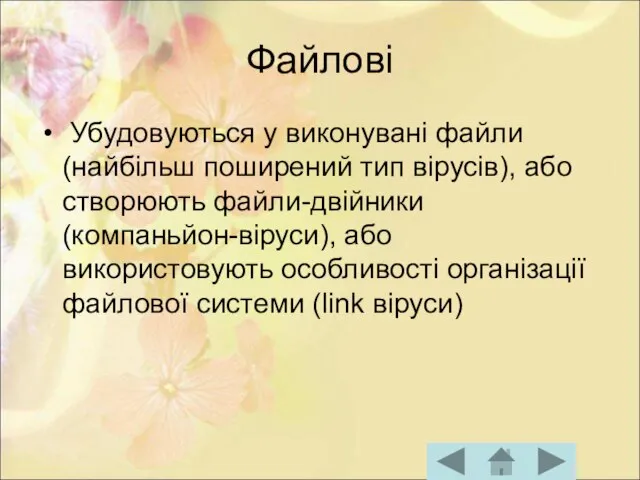 Файлові Убудовуються у виконувані файли (найбільш поширений тип вірусів), або створюють файли-двійники