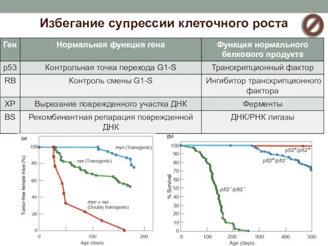 Избегание супрессии клеточного роста