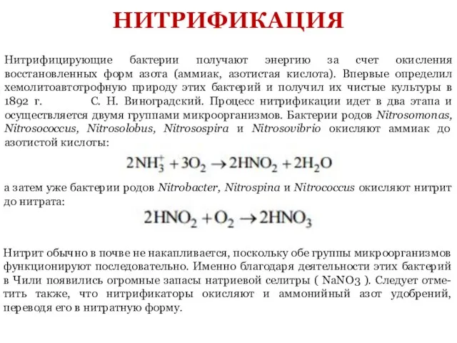 Нитрифицирующие бактерии получают энергию за счет окисления восстановленных форм азота (аммиак, азотистая