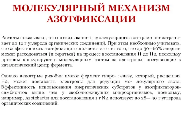 Расчеты показывают, что на связывание 1 г молекулярного азота растение затрачи- вает