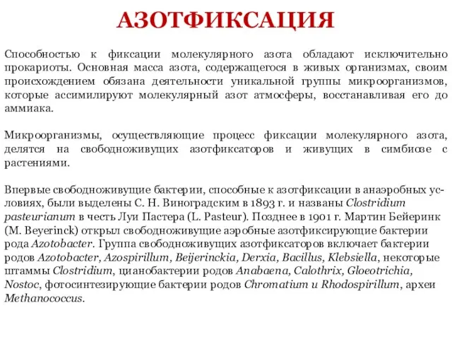 Способностью к фиксации молекулярного азота обладают исключительно прокариоты. Основная масса азота, содержащегося