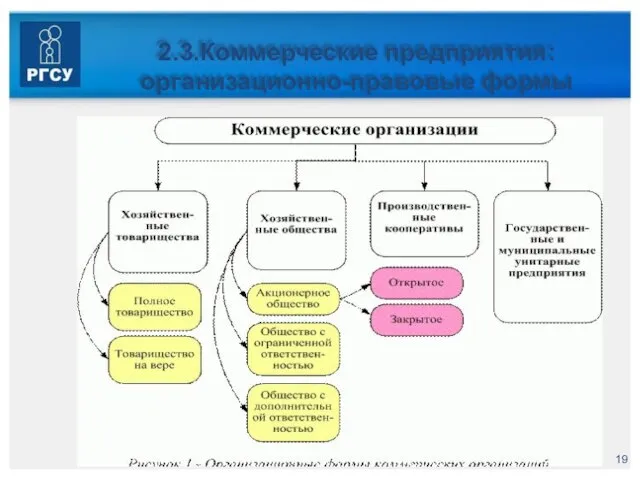 2.3.Коммерческие предприятия: организационно-правовые формы