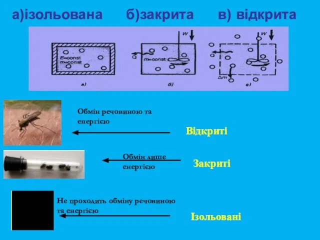 Відкриті Закриті Ізольовані Не проходить обміну речовиною та енергією Обмін речовиною та