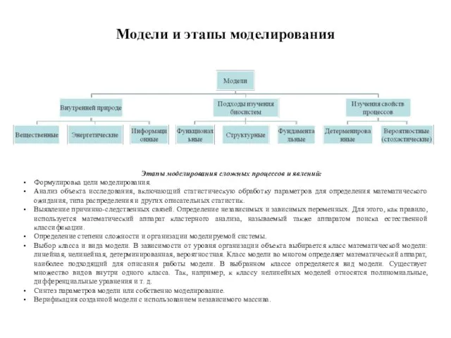 Модели и этапы моделирования Этапы моделирования сложных процессов и явлений: Формулировка цели