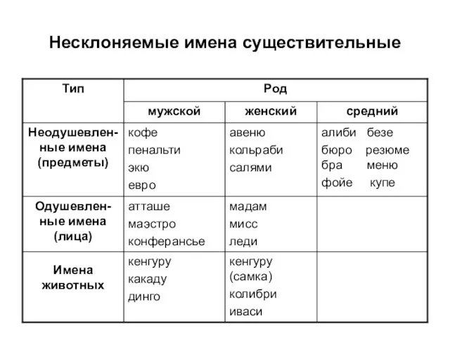 Несклоняемые имена существительные