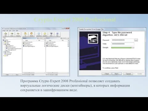 Crypto Expert 2008 Professional Программа Crypto Expert 2008 Professional позволяет создавать виртуальные