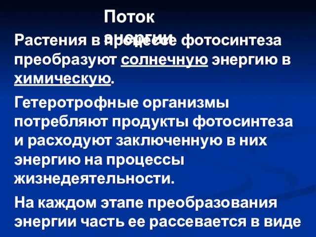 Растения в процессе фотосинтеза преобразуют солнечную энергию в химическую. Гетеротрофные организмы потребляют