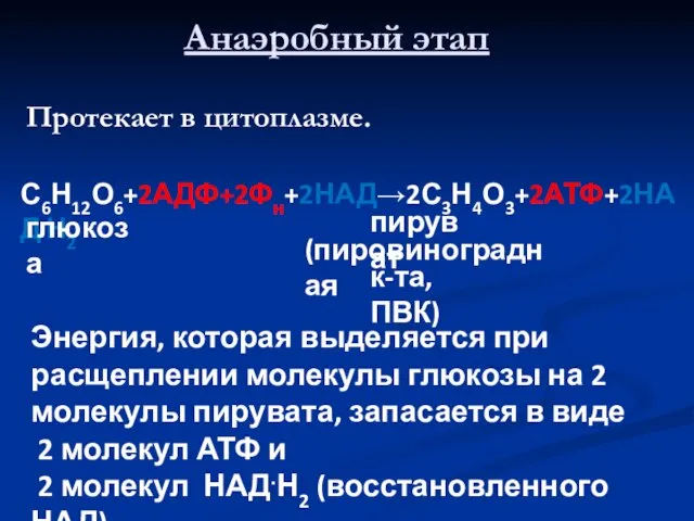 Анаэробный этап Протекает в цитоплазме. С6Н12О6+2АДФ+2Фн+2НАД→2С3Н4О3+2АТФ+2НАД.Н2 глюкоза пируват (пировиноградная к-та, ПВК) Энергия,