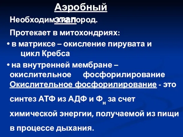 Аэробный этап Необходим кислород. Протекает в митохондриях: в матриксе – окисление пирувата