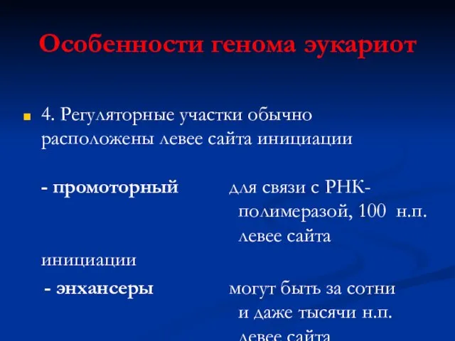 Особенности генома эукариот 4. Регуляторные участки обычно расположены левее сайта инициации -