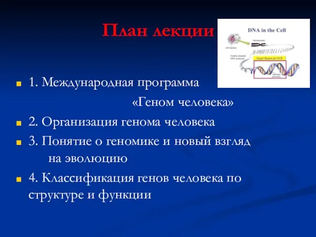 План лекции 1. Международная программа «Геном человека» 2. Организация генома человека 3.