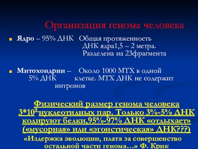 Организация генома человека Ядро – 95% ДНК Общая протяженность ДНК ядра1,5 –