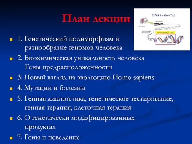 План лекции 1. Генетический полиморфизм и разнообразие геномов человека 2. Биохимическая уникальность