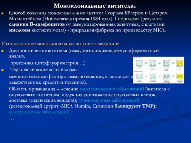 Моноклональные антитела. Способ создания моноклональных антител Георгом Кёлером и Цезарем Мильштейном (Нобелевская