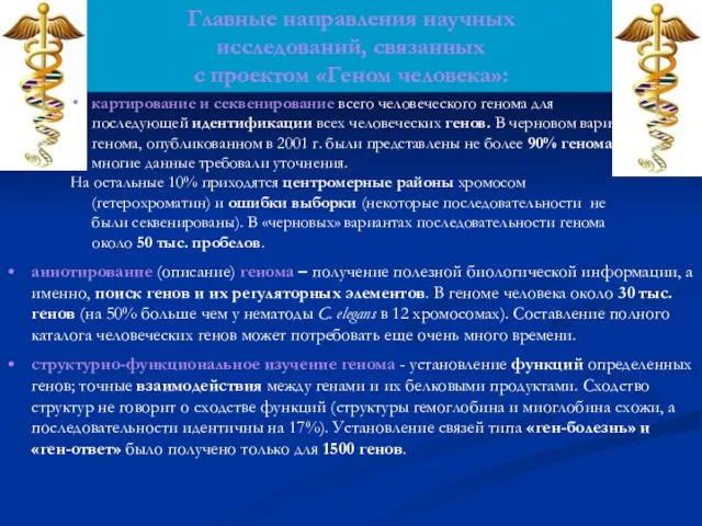 Главные направления научных исследований, связанных с проектом «Геном человека»: аннотирование (описание) генома