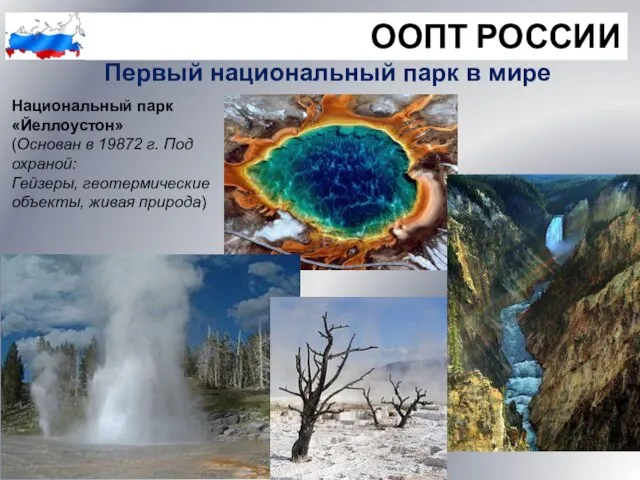 ООПТ РОССИИ Первый национальный парк в мире Национальный парк «Йеллоустон» (Основан в