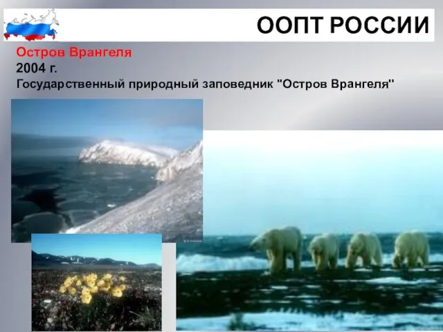 ООПТ РОССИИ Остров Врангеля 2004 г. Государственный природный заповедник ''Остров Врангеля''