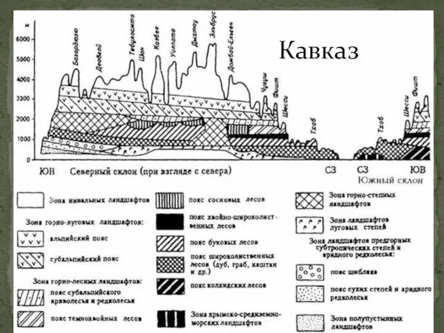 Кавказ