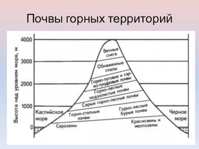 Почвы горных территорий