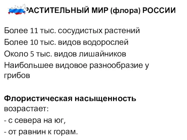 3. РАСТИТЕЛЬНЫЙ МИР (флора) РОССИИ Более 11 тыс. сосудистых растений Более 10