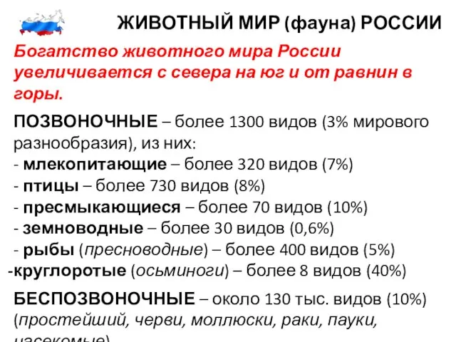 ЖИВОТНЫЙ МИР (фауна) РОССИИ Богатство животного мира России увеличивается с севера на