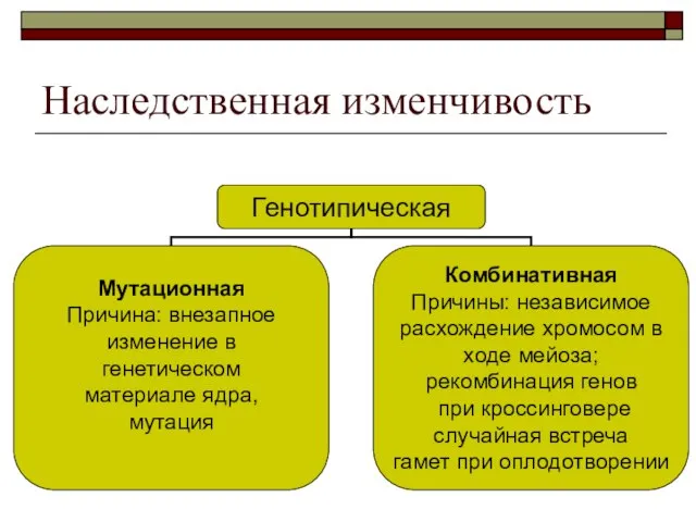 Наследственная изменчивость