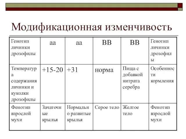 Модификационная изменчивость