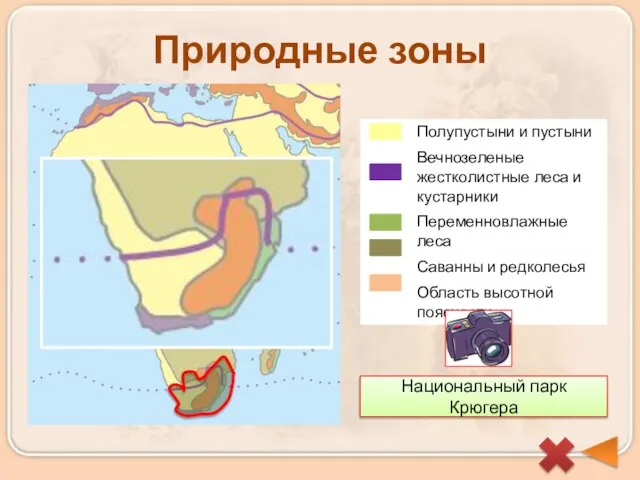 Природные зоны Национальный парк Крюгера