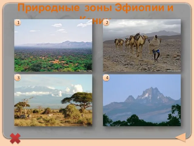 Природные зоны Эфиопии и Кении 1 2 3 4