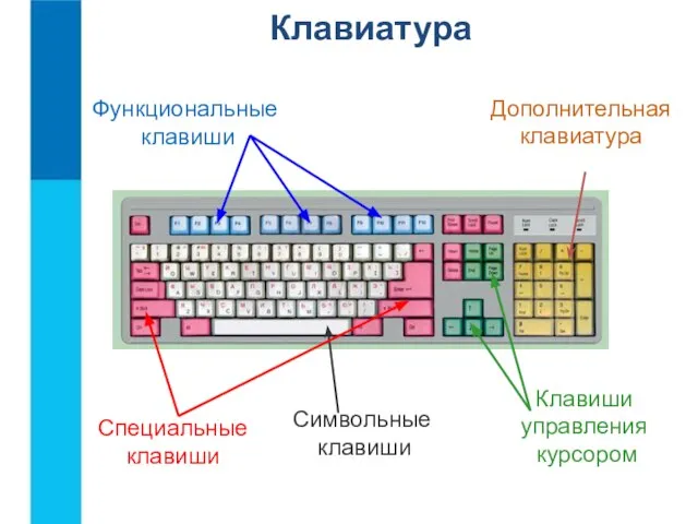 Функциональные клавиши Символьные клавиши Клавиши управления курсором Дополнительная клавиатура Специальные клавиши Клавиатура