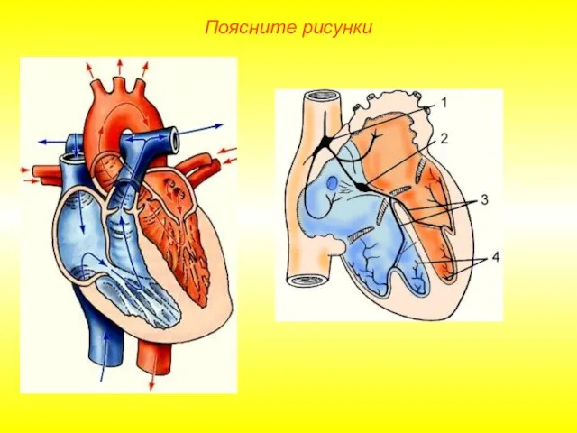 Поясните рисунки