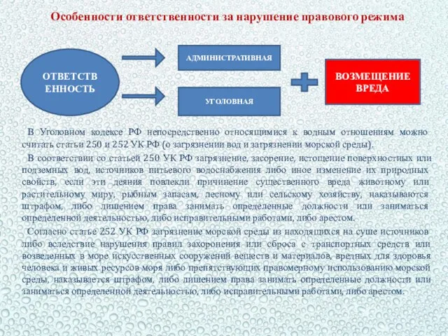 Особенности ответственности за нарушение правового режима В Уголовном кодексе РФ непосредственно относящимися